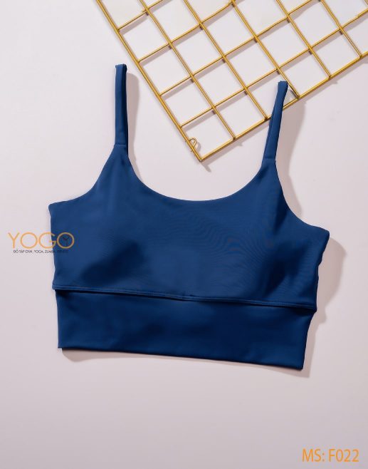 Áo tập Gym nữ f022