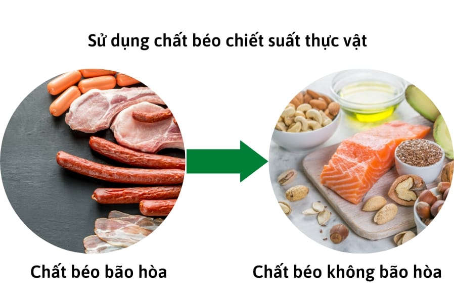 su dung chat beo thuc vat