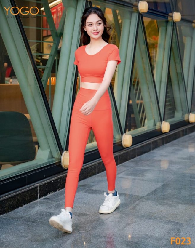 Đồ tập gym thể thao nữ F023